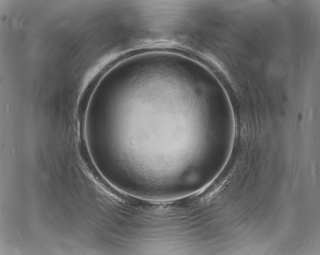 X0000061741414200512021430