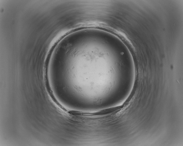 X0000061741424200512021430