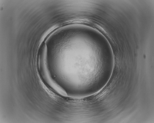 X0000061741426200512021430