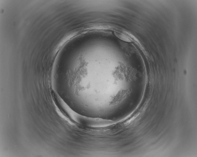 X0000061741433200512021431