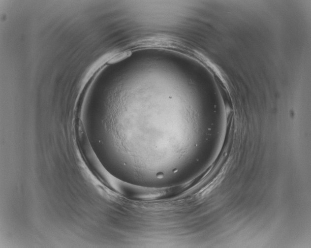X0000061741434200512021431
