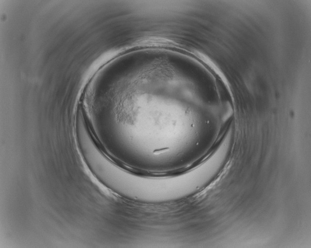 X0000061741437200512021431