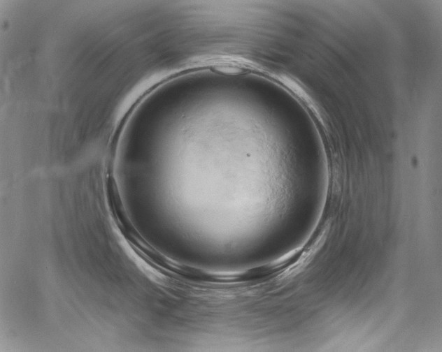 X0000061741438200512021431