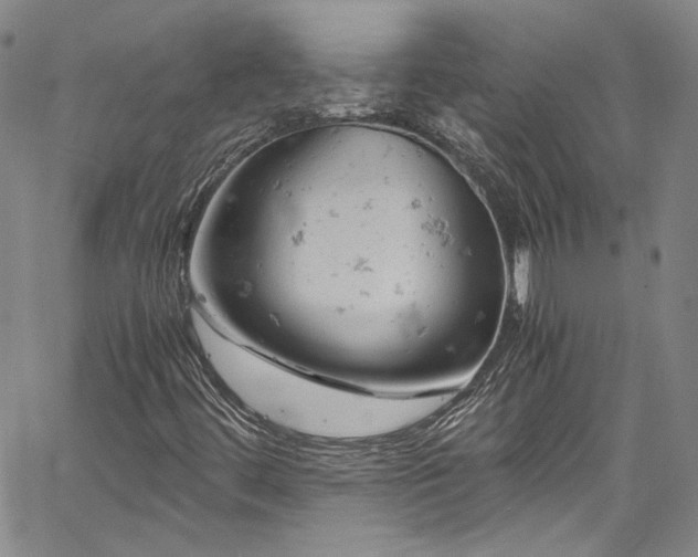 X0000061741444200512021430