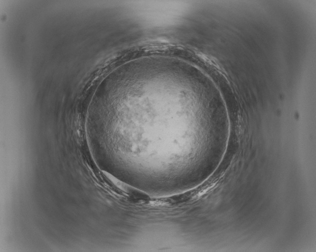 X0000061741445200512021430