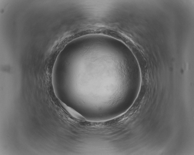 X0000061741447200512021430