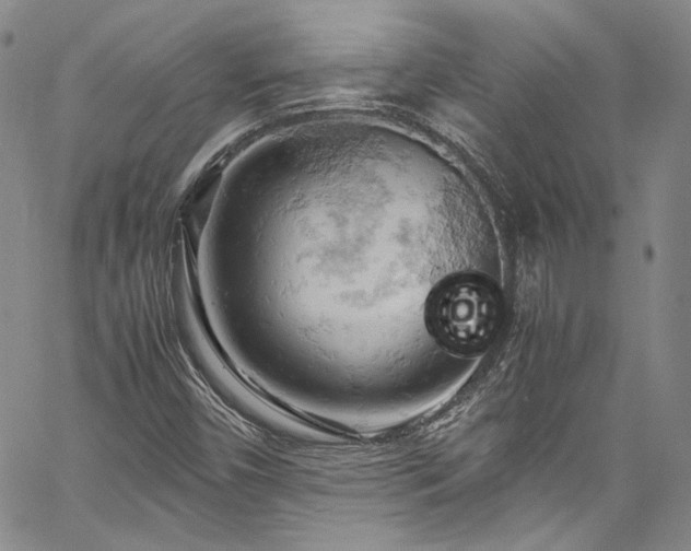 X0000061741450200512021430
