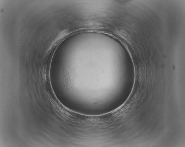 X0000061741451200512021430