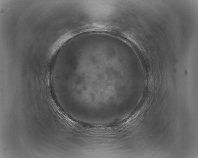 X0000061741455200512021430