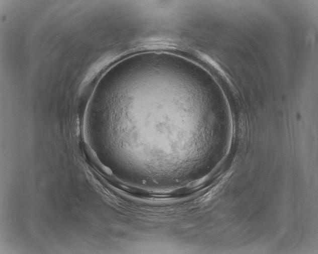 X0000061741461200512021430
