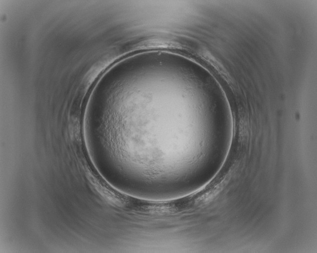 X0000061741465200512021430