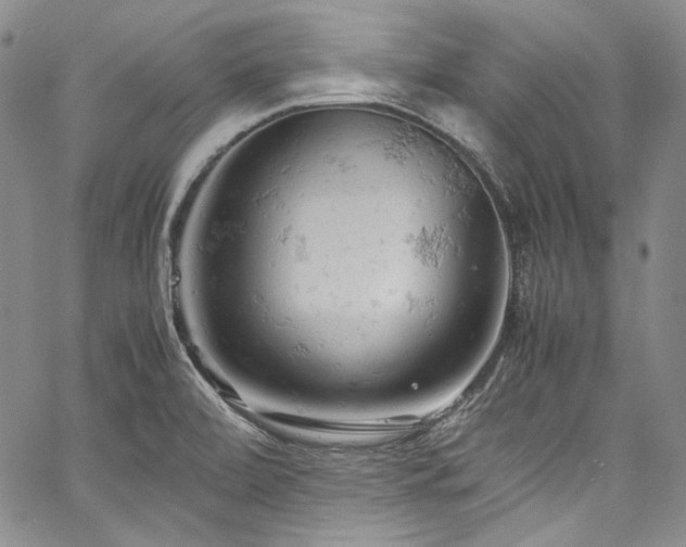 X0000061741472200512021429