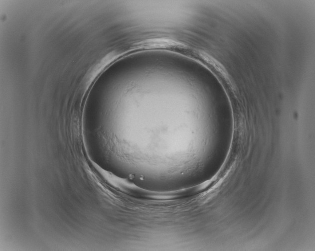 X0000061741473200512021429