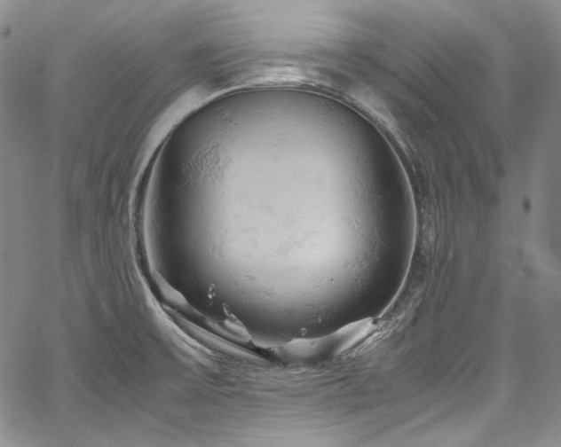 X0000061741475200512021429