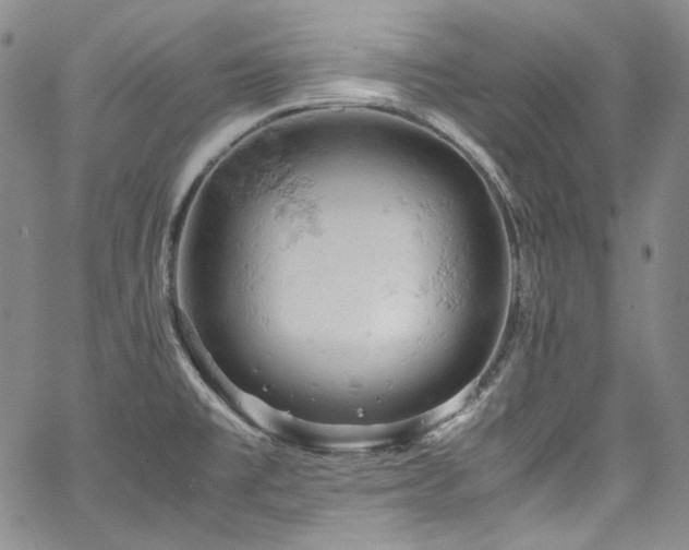 X0000061741477200512021429