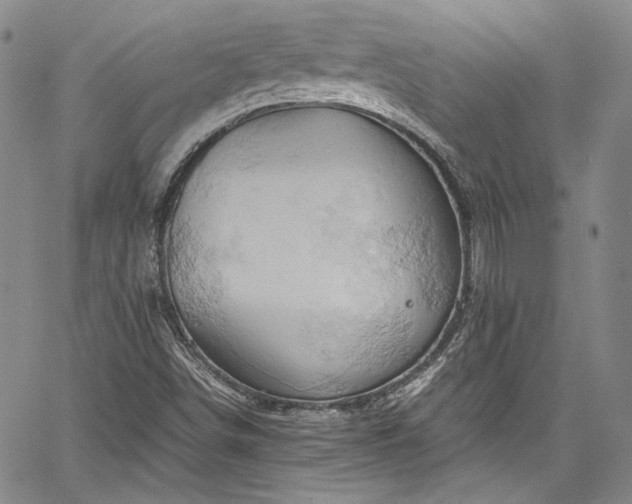 X0000061741498200512021429