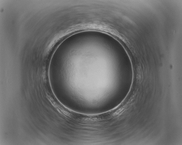 X0000061741499200512021429