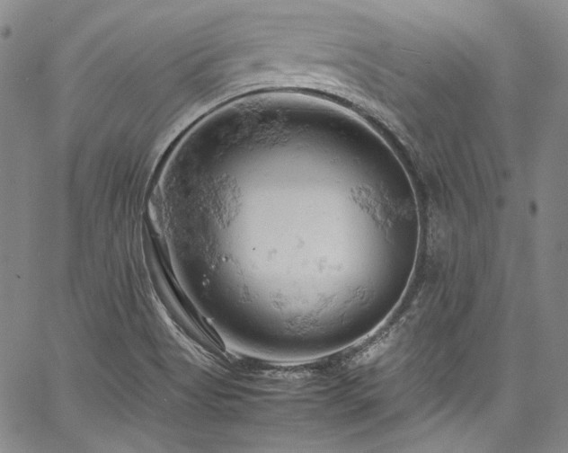 X0000061741513200512021429