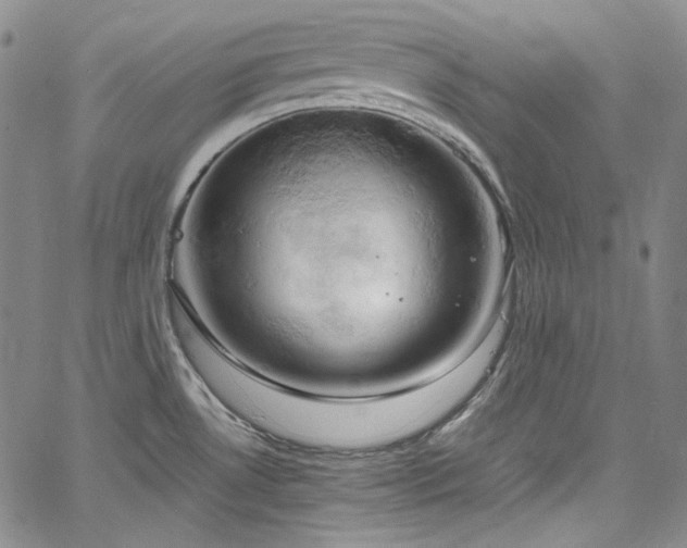 X0000061741530200512021429