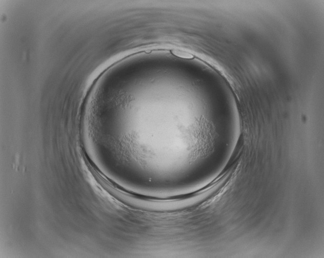 X0000061741534200512021429