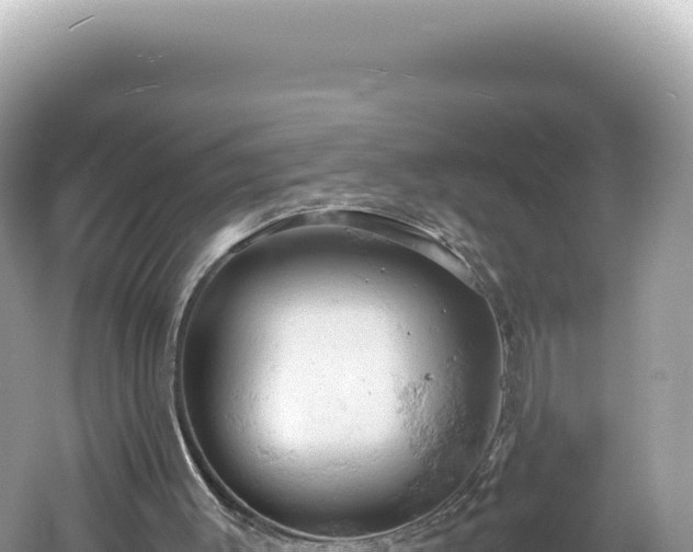 X0000061740003200512051013