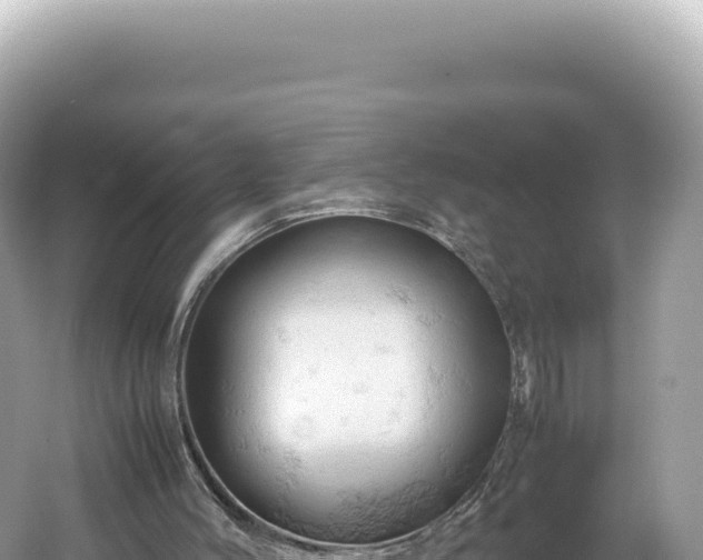 X0000061740004200512051013