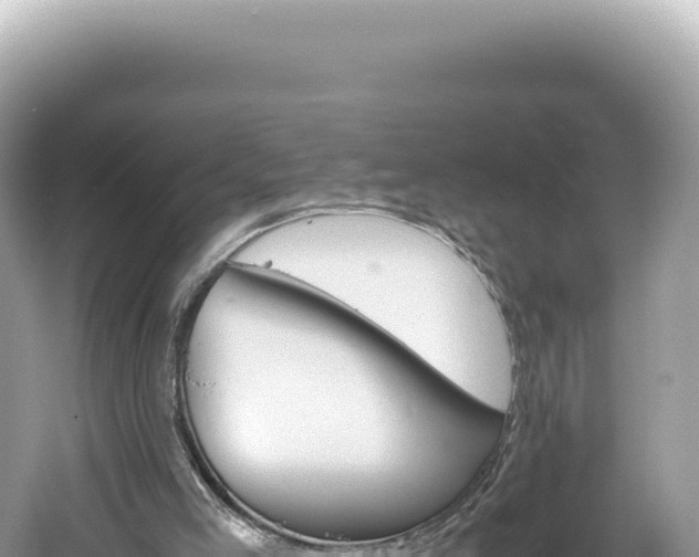 X0000061740005200512051013