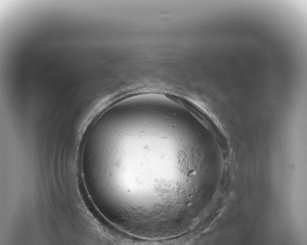 X0000061740007200512051013