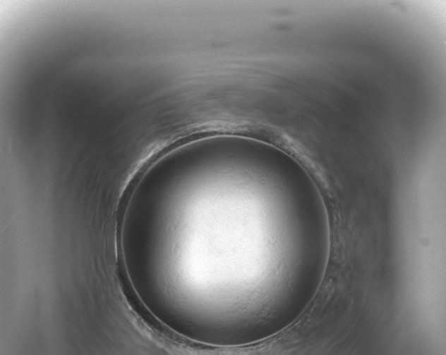 X0000061740011200512051012