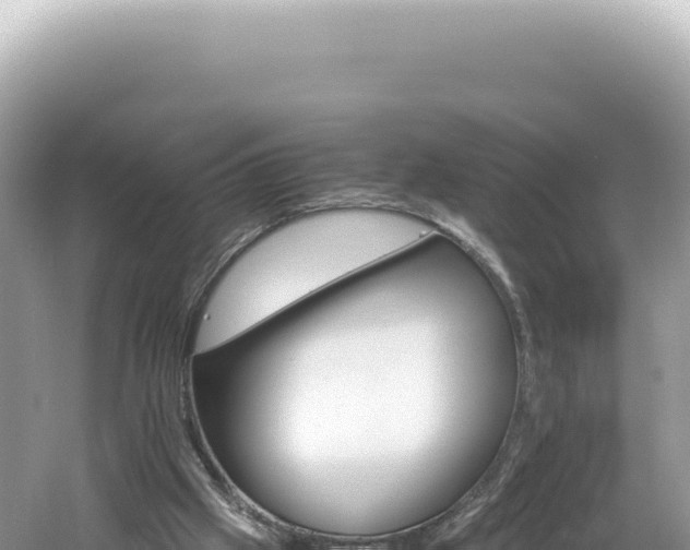 X0000061740057200512051011