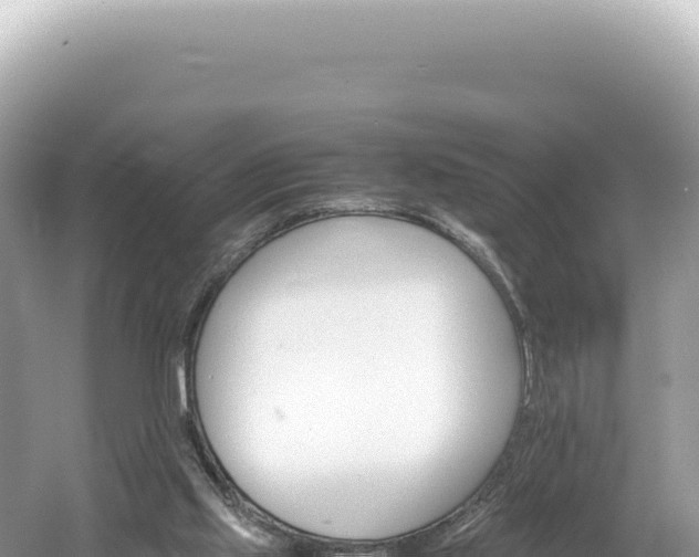 X0000061740061200512051011