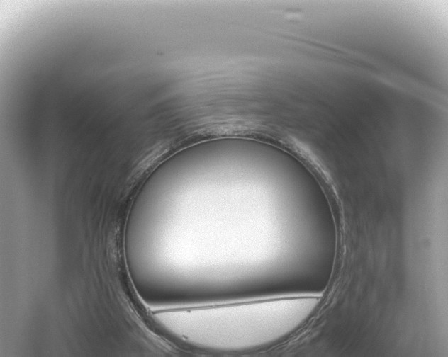 X0000061740105200512051011