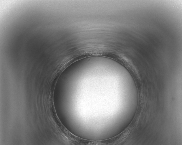 X0000061740113200512051011