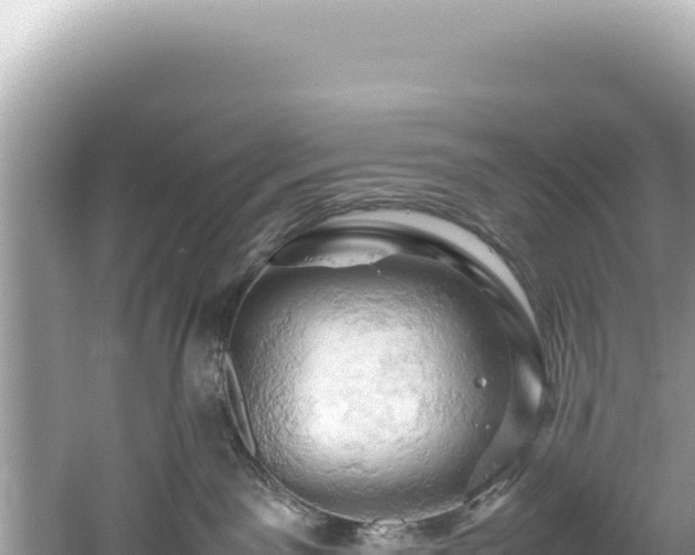 X0000061740141200512051010
