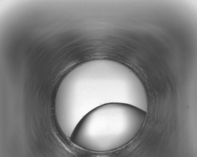 X0000061740157200512051009