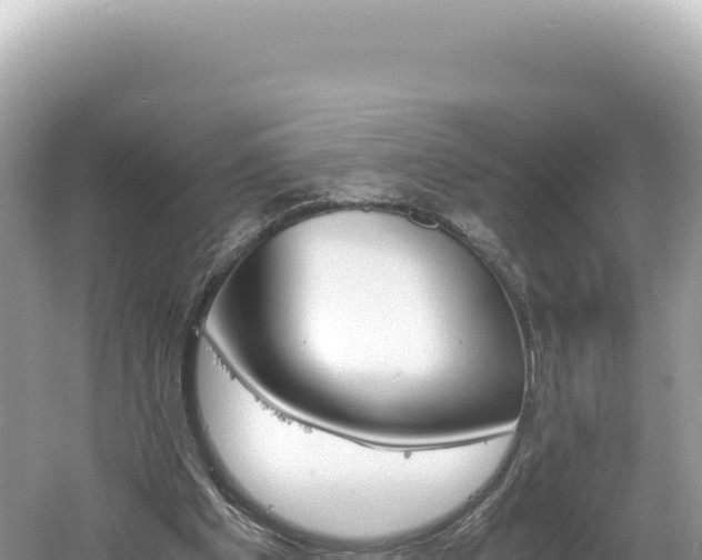 X0000061740201200512051009