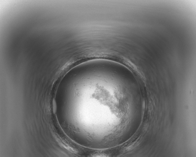 X0000061740203200512051009