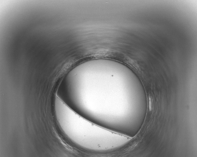 X0000061740205200512051009