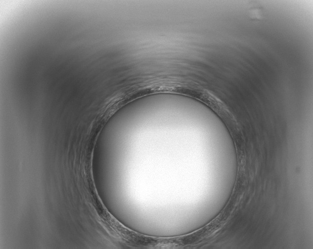 X0000061740209200512051009