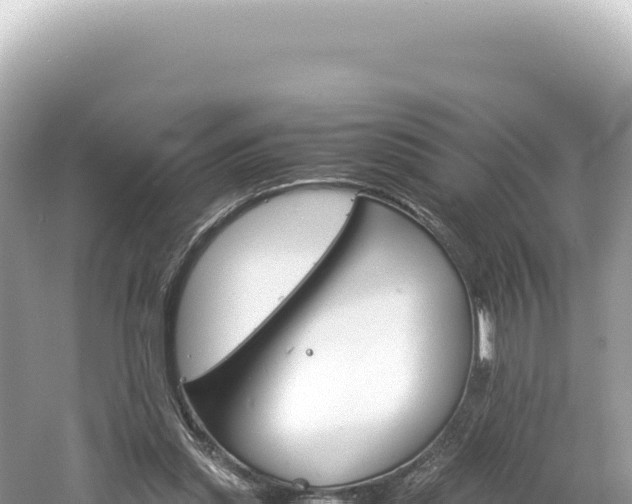 X0000061740253200512051008