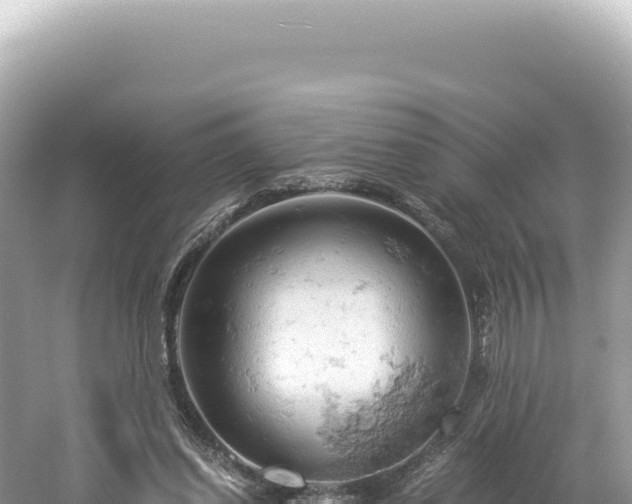 X0000061740254200512051008