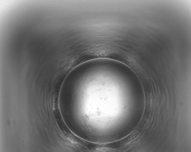 X0000061740268200512051008