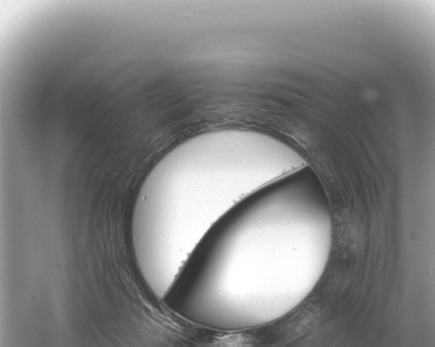 X0000061740269200512051008