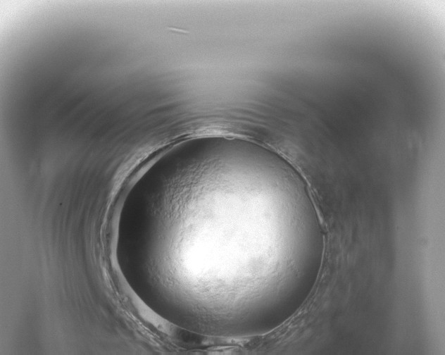 X0000061740289200512051008