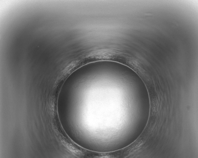 X0000061740309200512051007