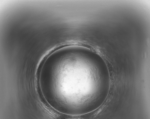 X0000061740342200512051006