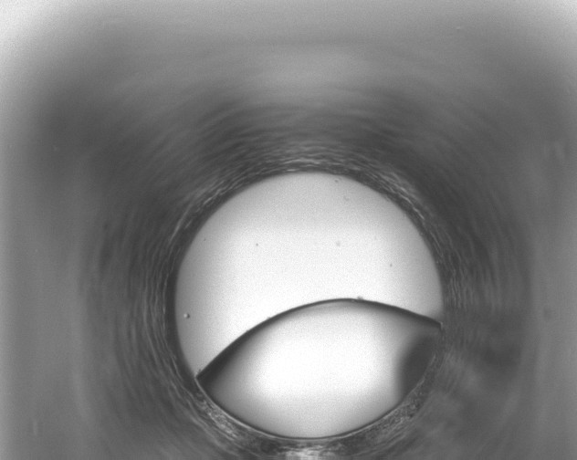 X0000061740365200512051006