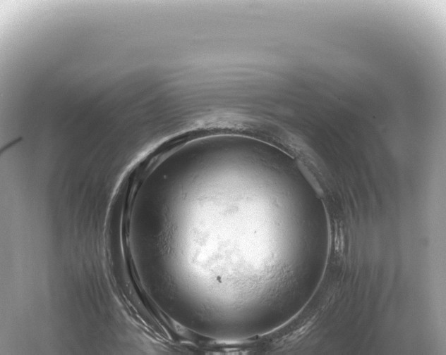 X0000061740388200512051006