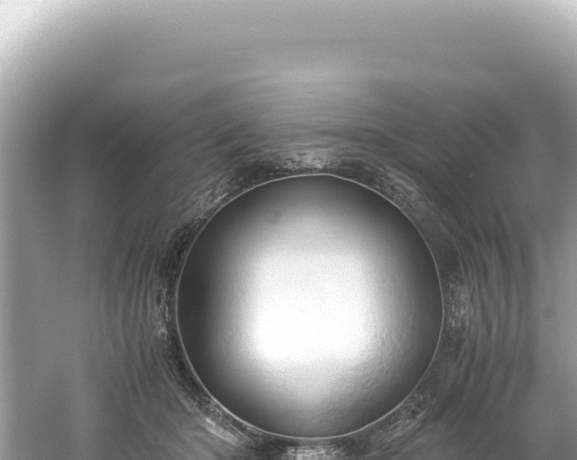 X0000061740414200512051005