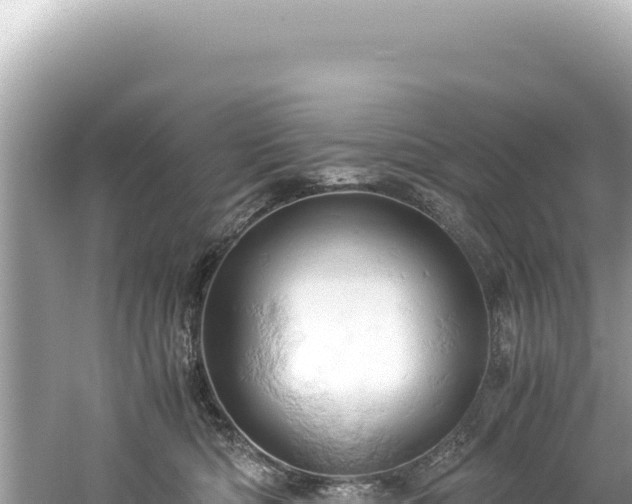 X0000061740422200512051005